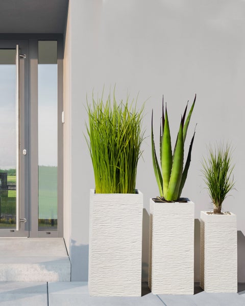 Drei Pflanzgefäße mit Pflanzen vor einer Hauswand