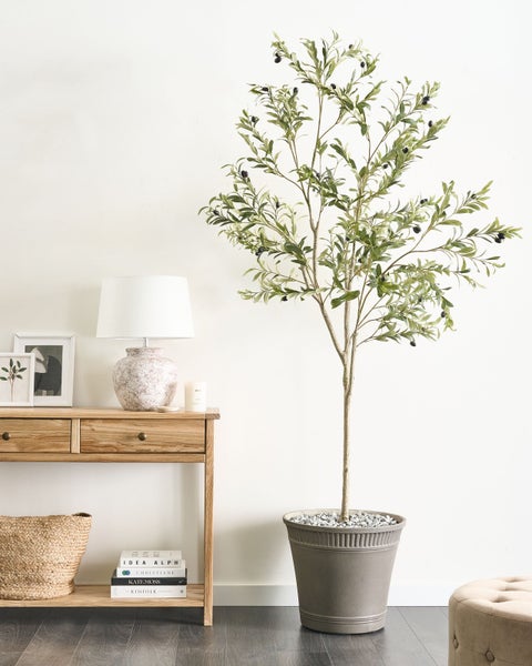 Dekoratives Interieur mit Olivenbaum im Topf neben einer Kommode mit Lampe und Dekorationen.