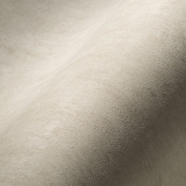 Salbei Pflanze im Topf