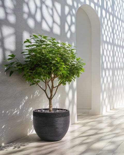 Blumenkübel ZAKROS Keramik 50 cm Schwarz