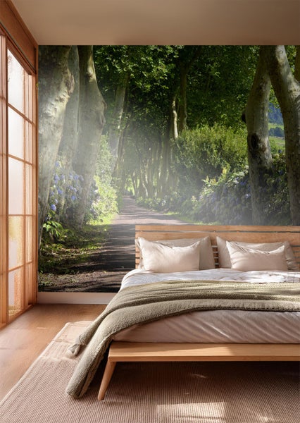 Schlafzimmer mit Fototapete einer von Bäumen gesäumten Straße