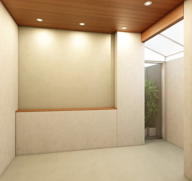 Heller Raum mit Holzdecke, eingelassenen Leuchten und Pflanze