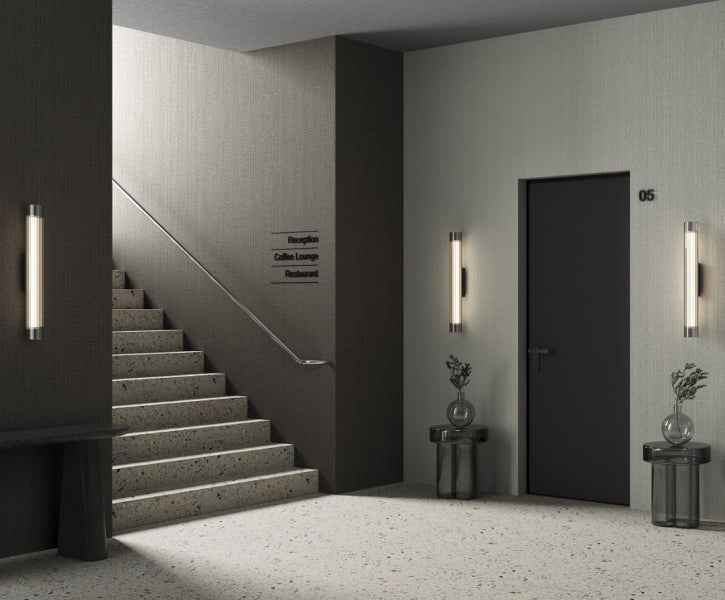 Gruppe von weißen Sterndolden im Garten.