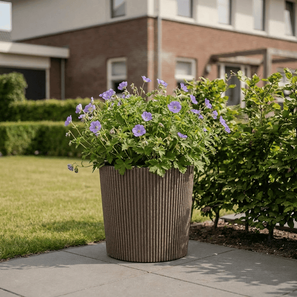 Runder Pflanzkübel mit vertikaler Rippenstruktur und violetten Blumen auf einer Steinterrasse in einem gepflegten Garten.