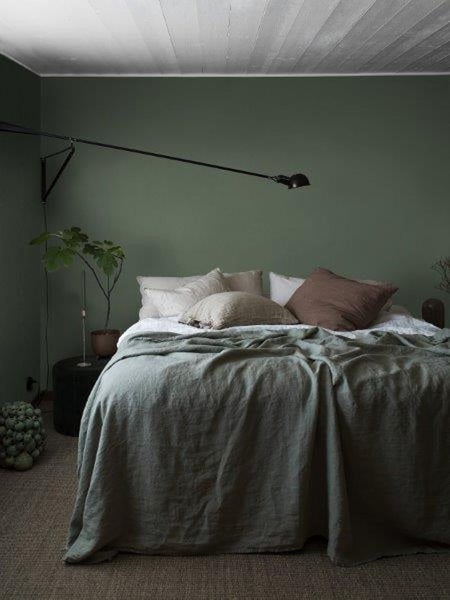 Illustration eines Wachstumszyklus von Pflanzen