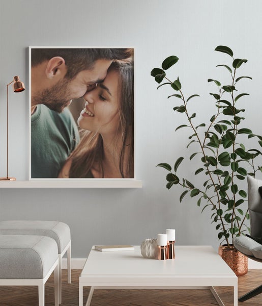 Gelb blühender Ginsterstrauch im Garten