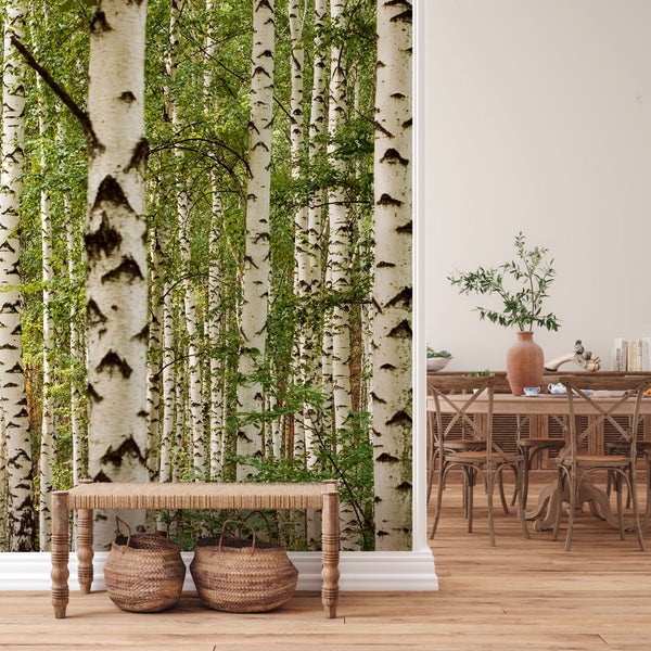 Raumgestaltung mit Birkenwaldtapete, Bank und Holzboden für eine helle und natürliche Atmosphäre.