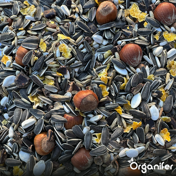 Premium Eichhörnchenfutter – Natürliche Mischung mit ganzen Nüssen (20 kg) - Organifer
