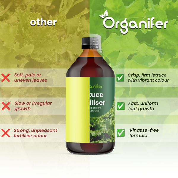 Organifer Logo. Vergleich zwischen vinassefreiem Organifer Salatdünger für schnelles Wachstum und anderen Düngern.