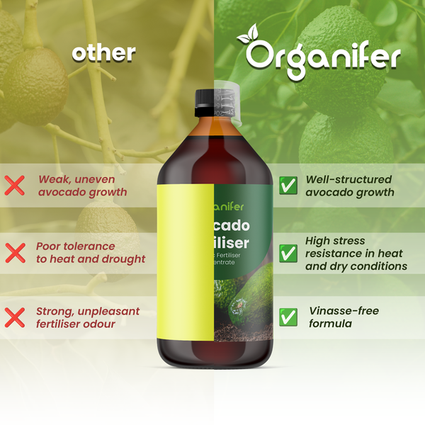 Organifer Avocado-Dünger mit Organifer Logo. Vorteile gegenüber anderen: strukturiertes Wachstum, Hitzebeständigkeit und vinassefreie Rezeptur.