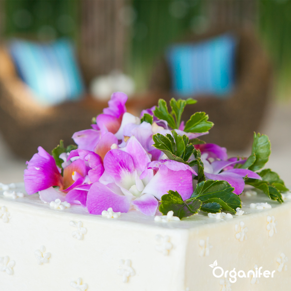 Essbare Blumen Saatgutpaket - 11 Arten - Organifer