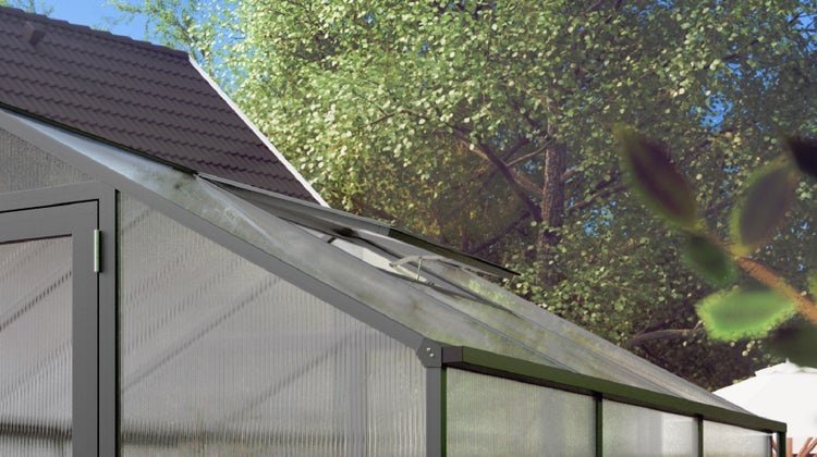 Gewächshaus mit Aluminiumrahmen und Hohlkammerplatten, geöffnetes Dachfenster zur Belüftung, Anbau an eine Hauswand.