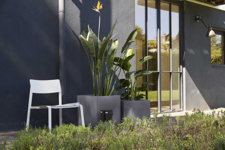 Moderne Außenszene mit zwei grauen quadratischen Pflanzkübeln mit Strelitzien und einem weißen Stuhl auf einer Terrasse.