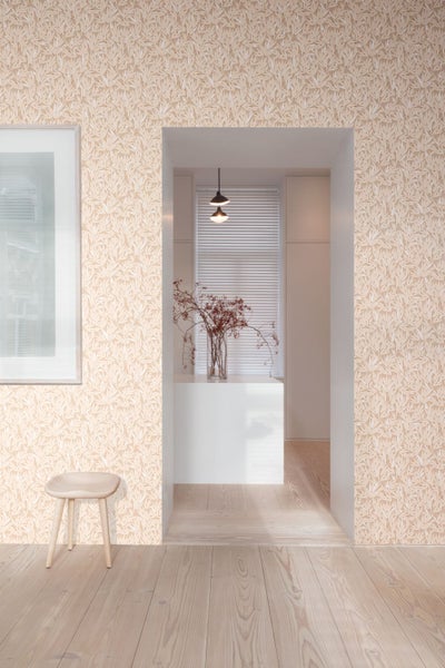 Kartoffelpflanzen im Gartenbeet