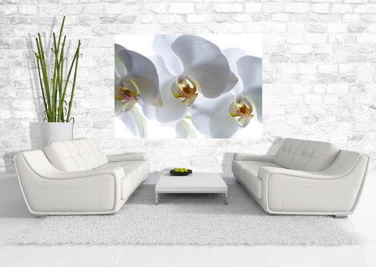 Helles Wohnzimmer mit zwei Sofas, Couchtisch, Bambuspflanze und einem Bild von Orchideenblüten an einer Ziegelwand