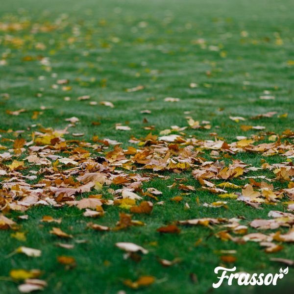 Frassor Herbstdünger All-in-one, 14 Kilogramm für 280 Quadratmeter, organischer Dünger für Rasen, Frassor Logo.