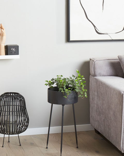 Dekorative Innenszene mit Pflanzenständer, Pflanze, Sofa, Lampe und Wanddekoration.