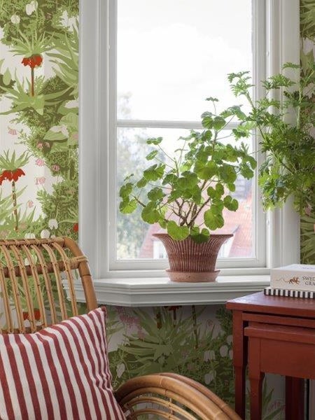 STAHLWERK Druckluft-Reinigungspistole mit Bürstenaufsatz für Autositze und Polster