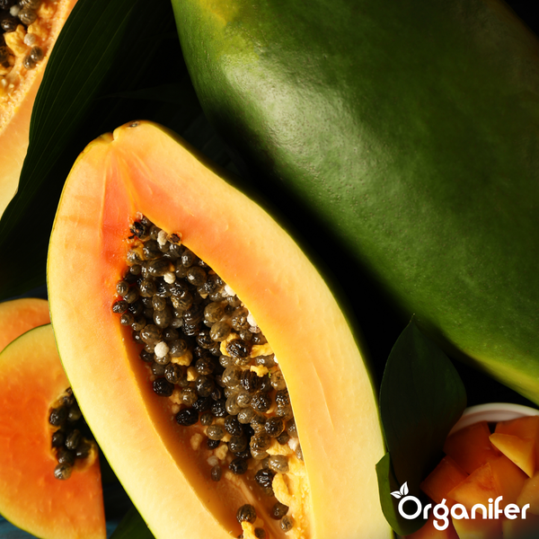 Ganze und aufgeschnittene Papaya mit Kernen und Blättern, Organifer Logo