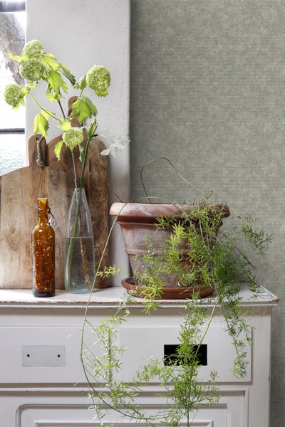 Dekorative Szene mit Pflanze im Topf, Blumen und Schneidebrettern auf einem Sideboard