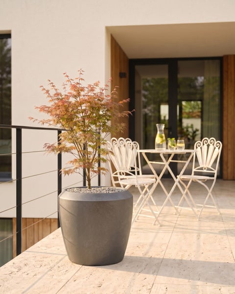 Ein Fächerahorn in einem grauen Pflanzkübel auf einer modernen Terrasse mit hellen Bodenplatten und weißen Bistro-Gartenmöbeln.