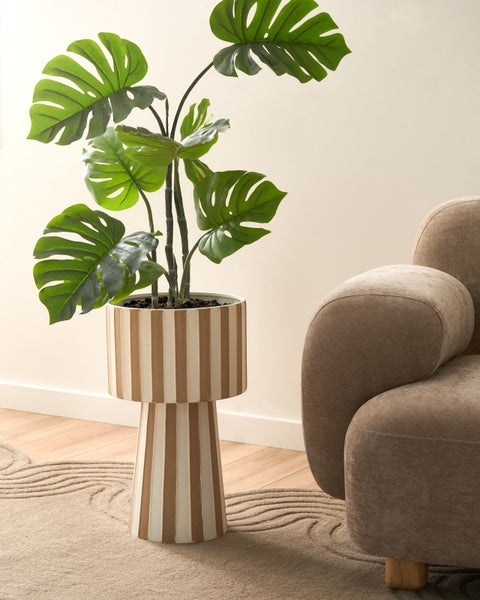 Monstera Pflanze in einem gestreiften Übertopf mit Standfuß neben einem braunen Sessel auf einem Teppich in einem hellen Wohnzimmer.