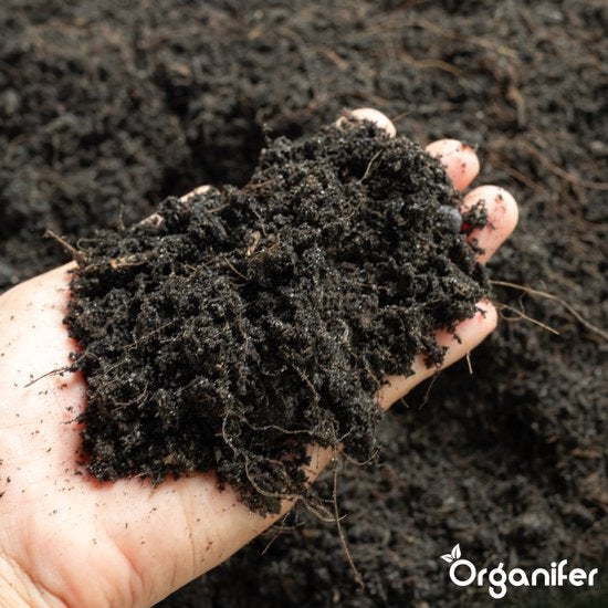 Eine Hand hält Blumenerde