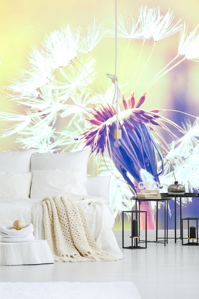 Fototapete mit Pusteblumen-Motiv in Nahaufnahme in einem hellen Schlafzimmer mit weißem Bett und schwarzen Beistelltischen.