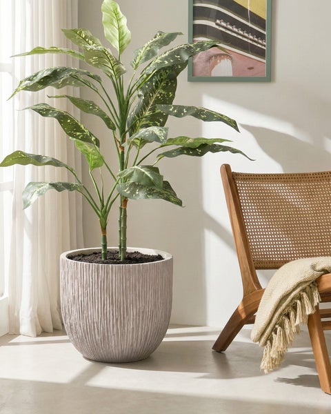 Dekoratives Zimmer mit Dieffenbachia Kunstpflanze in geripptem Topf und Holzstuhl mit Decke