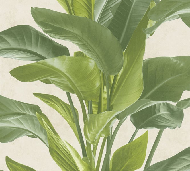 Nahaufnahme einer Tapete mit einem Pflanzenmotiv