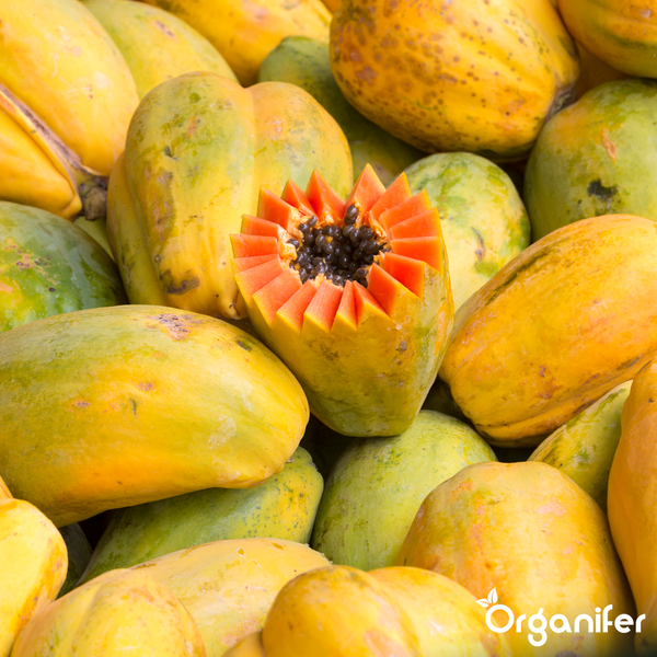 Frische Papayas, eine dekorativ aufgeschnitten mit orangefarbenem Fruchtfleisch und schwarzen Kernen, Organifer Logo