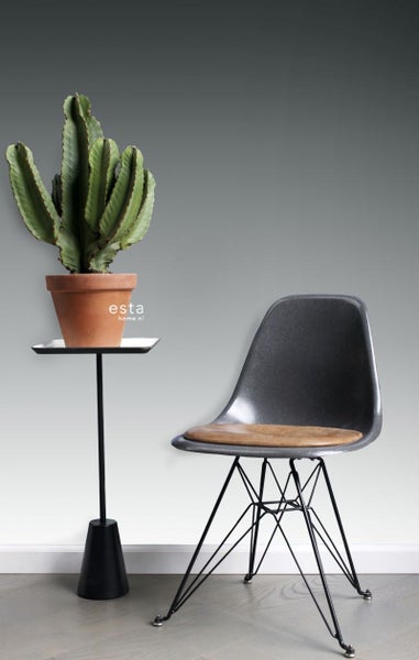 Dekorative Kaktuspflanze auf einem Beistelltisch neben einem Stuhl.