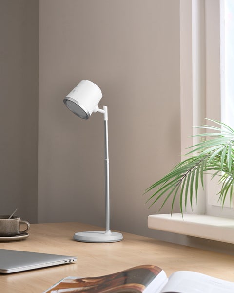 Moderne Stehlampe aus Metall auf einem Schreibtisch mit Laptop und Pflanze