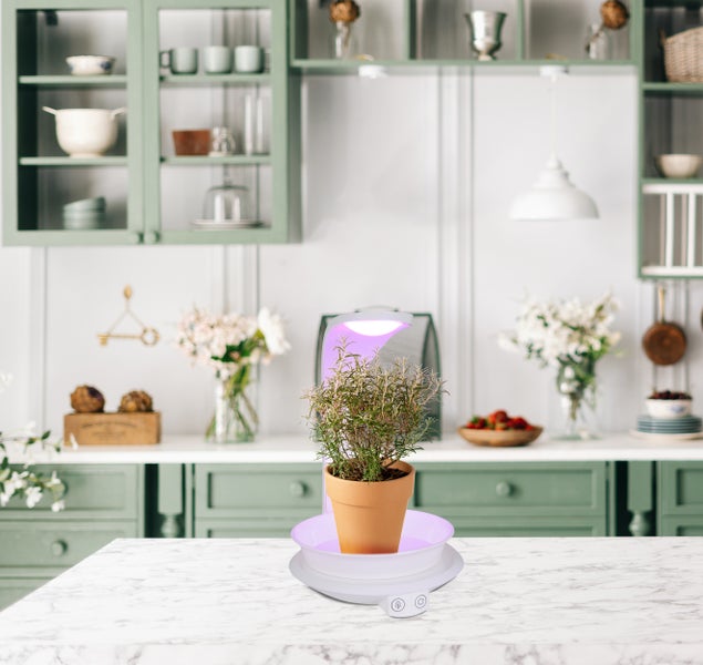 LED Pflanzen-Tischleuchte 24 cm hoch, aus Metall und Kunststoff in Weiß,  mit integrierter LED