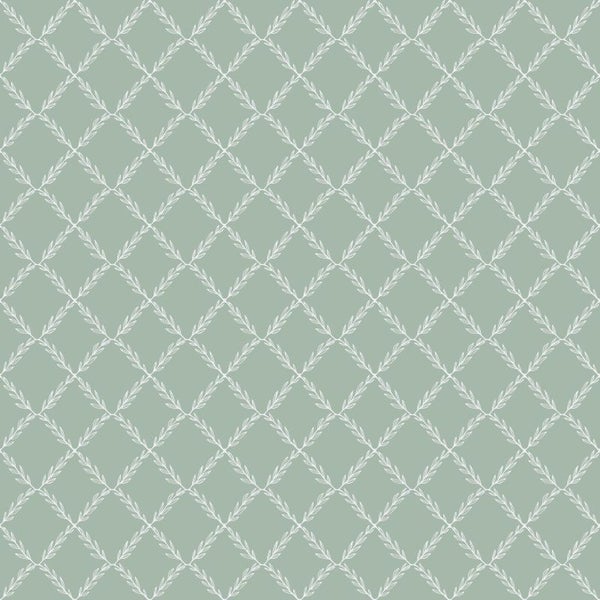 Detailaufnahme eines Buchsbaumzweigs mit Blättern