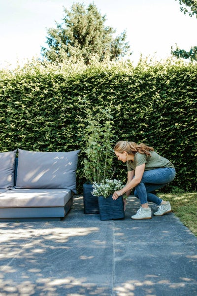 Eine Frau arrangiert Pflanzen in dunklen quadratischen Kübeln auf einer Steinterrasse neben einem Loungesofa vor einer hohen grünen Hecke.