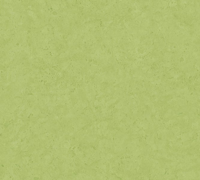 Schlafzimmer mit Bett, Leiter und Rattansessel vor einer grünen Wand