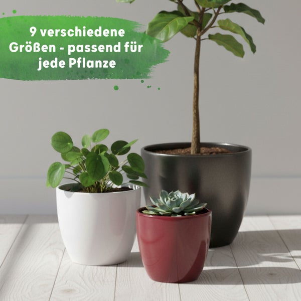 Drei Übertöpfe in verschiedenen Größen und Farben mit Pflanzen in hellem Ambiente. Text: 9 verschiedene Größen - passend für jede Pflanze.