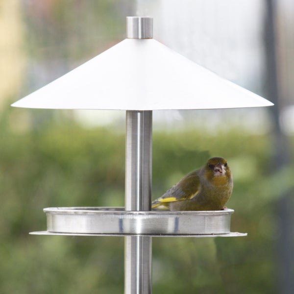 Vogel auf einem Edelstahl-Vogelfutterhaus