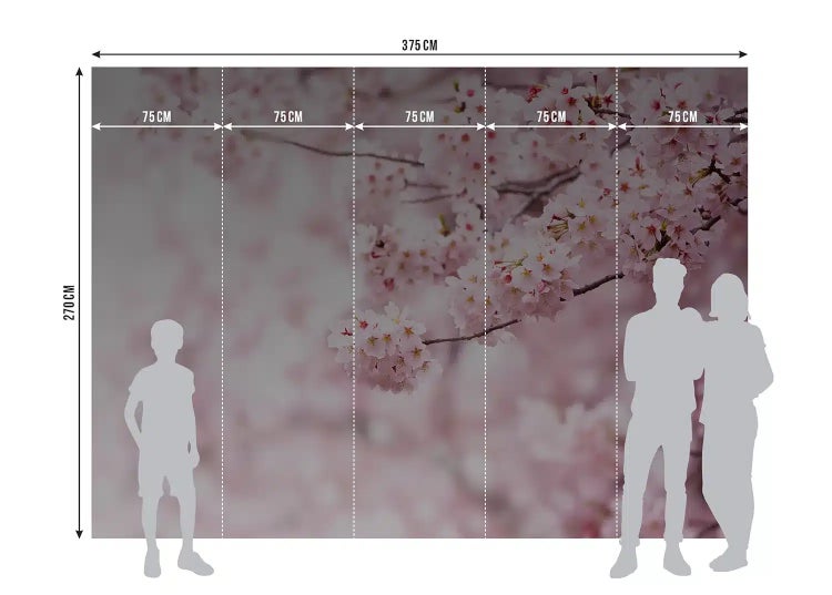 Fototapete mit Kirschblüten-Motiv, Maße 375 Zentimeter mal 270 Zentimeter, unterteilt in 5 Bahnen à 75 Zentimeter, mit Größenvergleich.