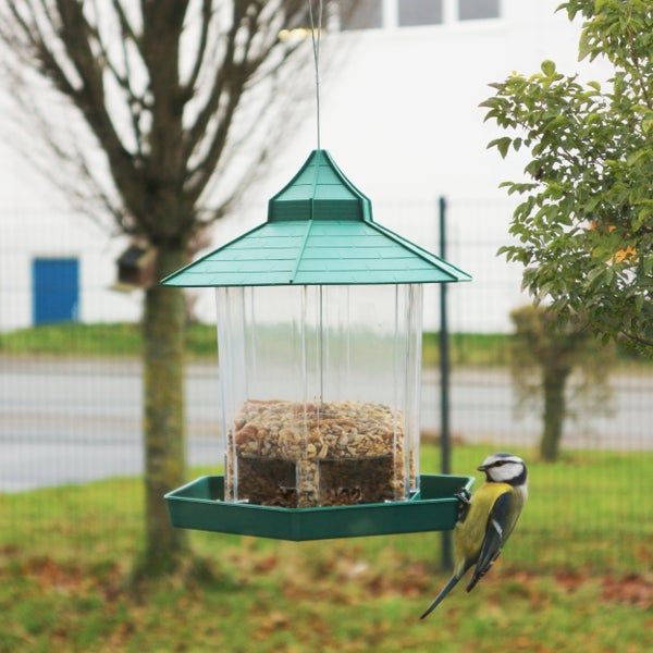 Vogelhäuschen mit Futter und Blaumeise