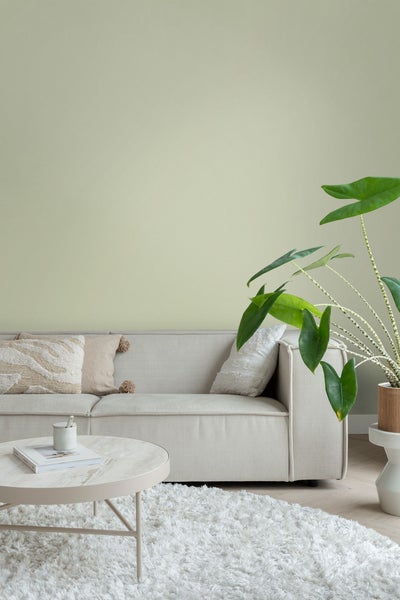 ESTAhome Wandfarbe matt  Hell Graugrün - 2 l / ca. 18 m² - 191020