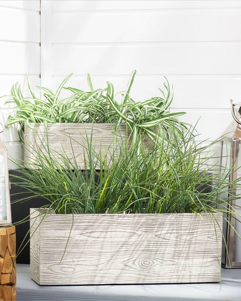 Abbildung eines Pflanzkastens mit den Maßen 42, 13 und 15 Zentimeter.