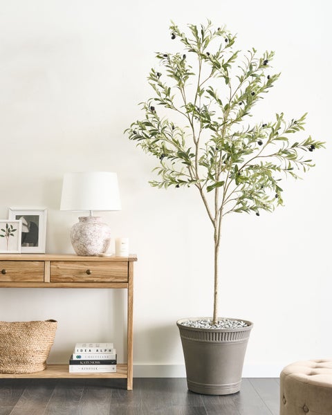 Dekorative Olivenbaum-Kunstpflanze in einem Wohnraum auf einem Tisch