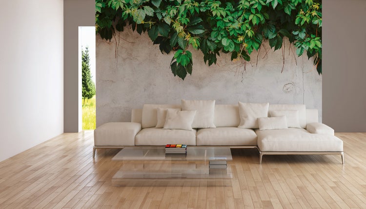 Modernes Wohnzimmer mit Vliestapete mit Motiv Efeu auf Betonwand hinter einem hellen Sofa auf hellem Parkettboden.