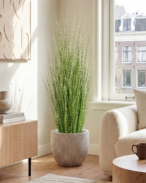 Künstliche Zebraschilf-Pflanze in einem strukturierten, hellgrauen Übertopf, platziert in einem hellen Wohnzimmer neben einem Fenster.