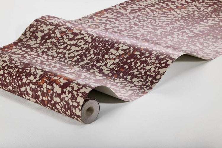 Eine Gruppe von Ehrenpreis Pflanzen im Garten.