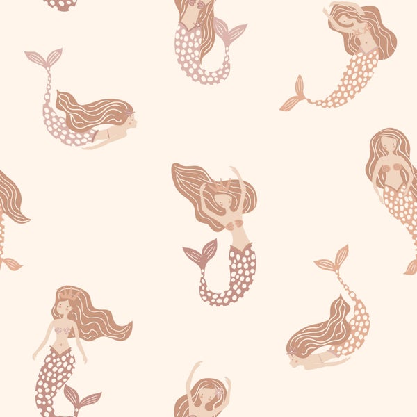 Zapfen einer Koreatanne an einem Ast