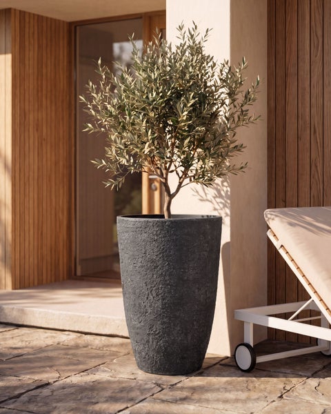 Hoher Pflanzkübel mit strukturierter Oberfläche und Olivenbaum auf einer hellen Steinterrasse neben einer Gartenliege und Holzwänden.