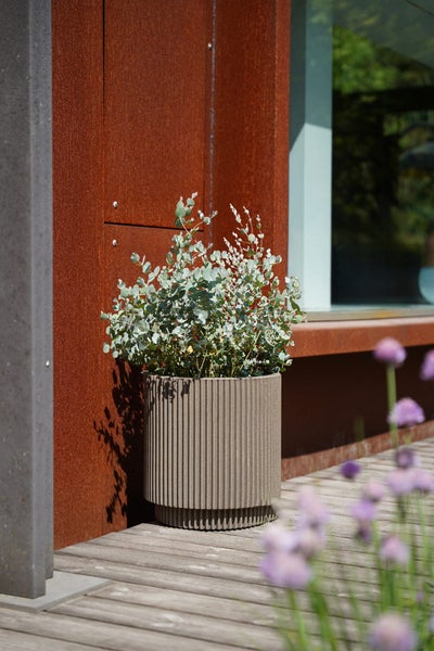Geriffelter Pflanzkübel mit Eukalyptus auf einer Holzterrasse vor einer Wand aus Cortenstahl.